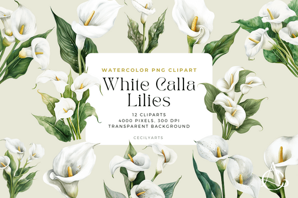 Download White Calla Lilies Cliparts - White Collection
